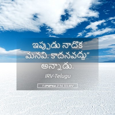 Picture 05 - 1 రాజులు 2:16 TELIRV - ఇప్పుడు నాదొక - Bible Verse Picture