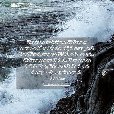 Picture 05 - 1 రాజులు 2:29 TELIRV - యోవాబు పారిపోయి - Bible Verse Picture
