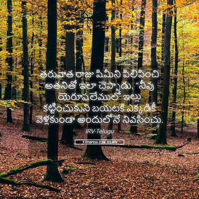 Picture 05 - 1 రాజులు 2:36 TELIRV - తరువాత రాజు - Bible Verse Picture