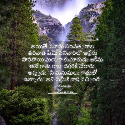 Picture 05 - 1 రాజులు 2:39 TELIRV - అయితే మూడు - Bible Verse Picture