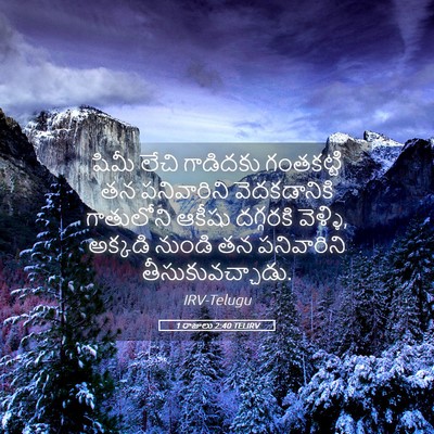 Picture 05 - 1 రాజులు 2:40 TELIRV - షిమీ లేచి గాడిదకు - Bible Verse Picture