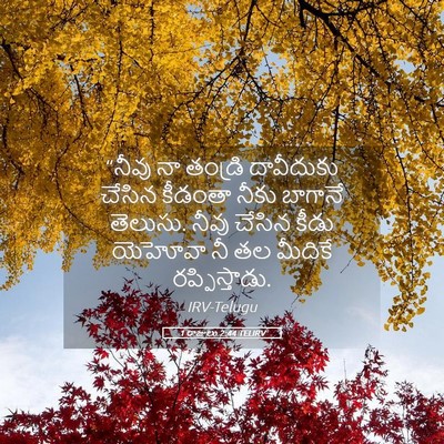 Picture 05 - 1 రాజులు 2:44 TELIRV - “నీవు నా తండ్రి - Bible Verse Picture