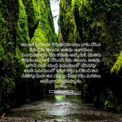 Picture 05 - 1 రాజులు 2:5 TELIRV - అయితే సెరూయా - Bible Verse Picture