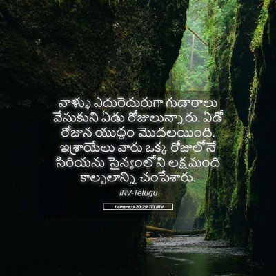 Picture 05 - 1 రాజులు 20:29 TELIRV - వాళ్ళు - Bible Verse Picture