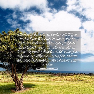 Picture 05 - 1 రాజులు 20:33 TELIRV - అప్పుడు వాళ్ళు - Bible Verse Picture