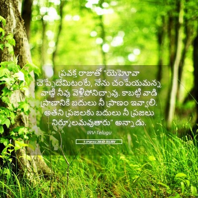 Picture 05 - 1 రాజులు 20:42 TELIRV - ప్రవక్త రాజుతో - Bible Verse Picture