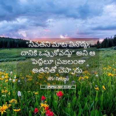 Picture 05 - 1 రాజులు 20:8 TELIRV - “నీవతని మాట - Bible Verse Picture