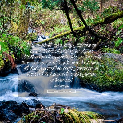 Picture 05 - 1 రాజులు 21:19 TELIRV - నీవు అతనితో ఇలా - Bible Verse Picture