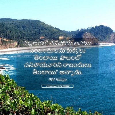 Picture 05 - 1 రాజులు 21:24 TELIRV - పట్టణంలో చనిపోయే - Bible Verse Picture