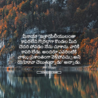 Picture 05 - 1 రాజులు 22:17 TELIRV - మీకాయా - Bible Verse Picture