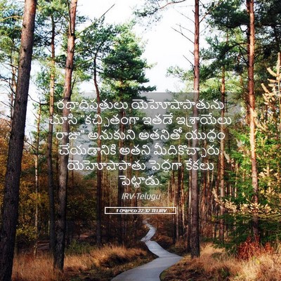 Picture 05 - 1 రాజులు 22:32 TELIRV - రథాధిపతులు - Bible Verse Picture