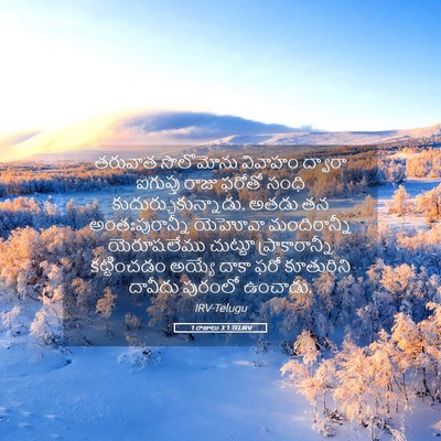 Picture 05 - 1 రాజులు 3:1 TELIRV - తరువాత సొలొమోను - Bible Verse Picture