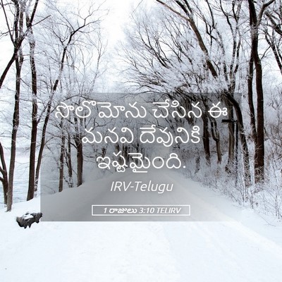 Picture 05 - 1 రాజులు 3:10 TELIRV - సొలొమోను చేసిన ఈ - Bible Verse Picture