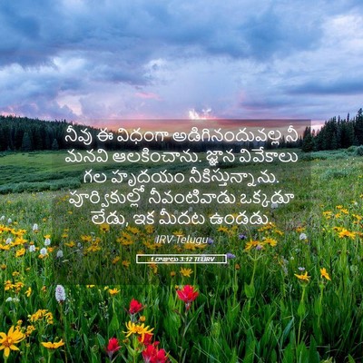 Picture 05 - 1 రాజులు 3:12 TELIRV - నీవు ఈ విధంగా - Bible Verse Picture