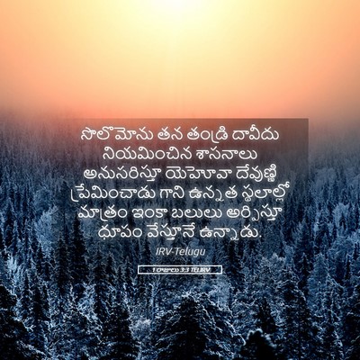 Picture 05 - 1 రాజులు 3:3 TELIRV - సొలొమోను తన - Bible Verse Picture