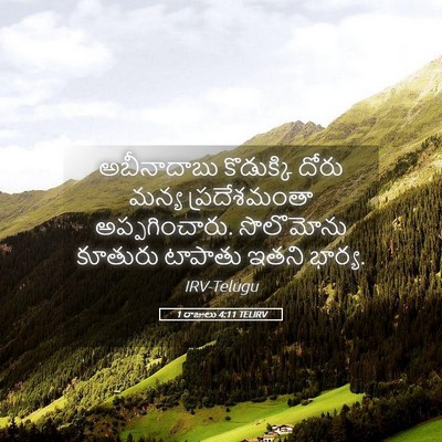 Picture 05 - 1 రాజులు 4:11 TELIRV - అబీనాదాబు - Bible Verse Picture