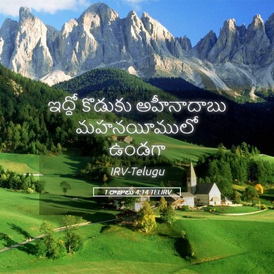 Picture 05 - 1 రాజులు 4:14 TELIRV - ఇద్దో కొడుకు - Bible Verse Picture