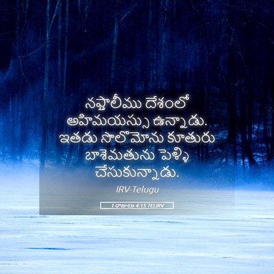 Picture 05 - 1 రాజులు 4:15 TELIRV - నఫ్తాలీము దేశంలో - Bible Verse Picture