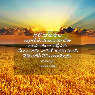 Picture 05 - 1 రాజులు 5:13 TELIRV - సొలొమోను రాజు - Bible Verse Picture