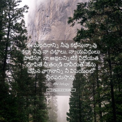 Picture 05 - 1 రాజులు 6:12 TELIRV - “ఈ మందిరాన్ని - Bible Verse Picture