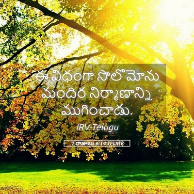 Picture 05 - 1 రాజులు 6:14 TELIRV - ఈ విధంగా సొలొమోను - Bible Verse Picture