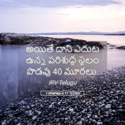 Picture 05 - 1 రాజులు 6:17 TELIRV - అయితే దాని ఎదుట - Bible Verse Picture