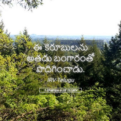 Picture 05 - 1 రాజులు 6:28 TELIRV - ఈ కెరూబులను అతడు - Bible Verse Picture