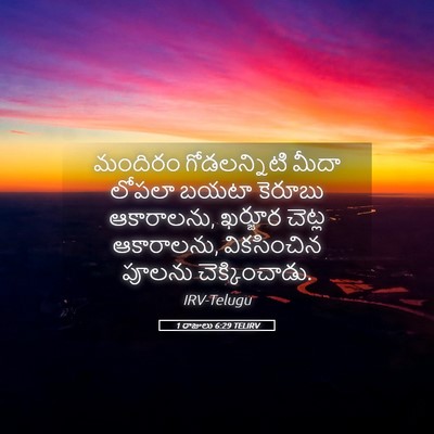 Picture 05 - 1 రాజులు 6:29 TELIRV - మందిరం గోడలన్నిటి - Bible Verse Picture