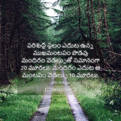 Picture 05 - 1 రాజులు 6:3 TELIRV - పరిశుద్ధ స్థలం - Bible Verse Picture