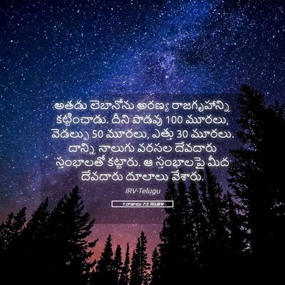 Picture 05 - 1 రాజులు 7:2 TELIRV - అతడు లెబానోను - Bible Verse Picture
