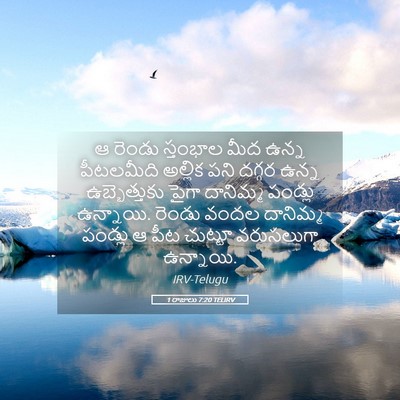 Picture 05 - 1 రాజులు 7:20 TELIRV - ఆ రెండు స్తంభాల - Bible Verse Picture