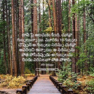 Picture 05 - 1 రాజులు 7:24 TELIRV - దాని పై అంచుకు - Bible Verse Picture