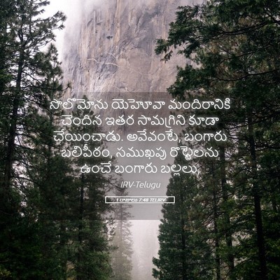 Picture 05 - 1 రాజులు 7:48 TELIRV - సొలొమోను యెహోవా - Bible Verse Picture