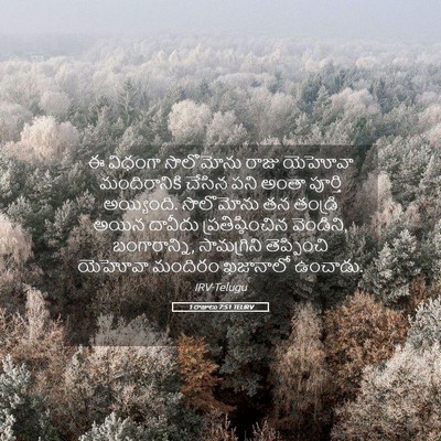 Picture 05 - 1 రాజులు 7:51 TELIRV - ఈ విధంగా సొలొమోను - Bible Verse Picture