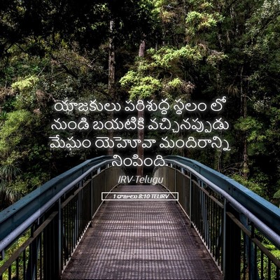 Picture 05 - 1 రాజులు 8:10 TELIRV - యాజకులు పరిశుద్ధ - Bible Verse Picture