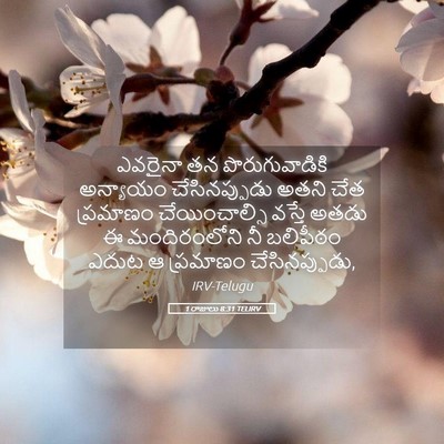 Picture 05 - 1 రాజులు 8:31 TELIRV - ఎవరైనా తన - Bible Verse Picture