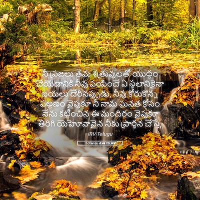 Picture 05 - 1 రాజులు 8:44 TELIRV - నీ ప్రజలు తమ - Bible Verse Picture