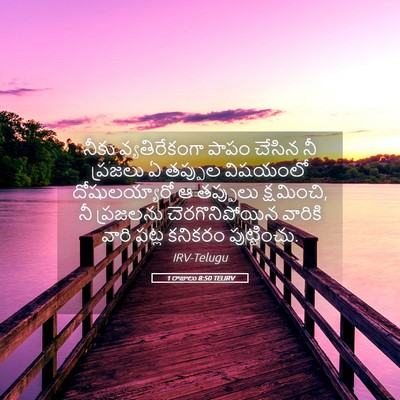 Picture 05 - 1 రాజులు 8:50 TELIRV - నీకు వ్యతిరేకంగా - Bible Verse Picture