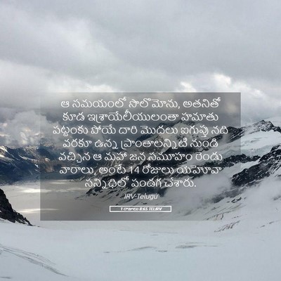 Picture 05 - 1 రాజులు 8:65 TELIRV - ఆ సమయంలో సొలొమోను, - Bible Verse Picture