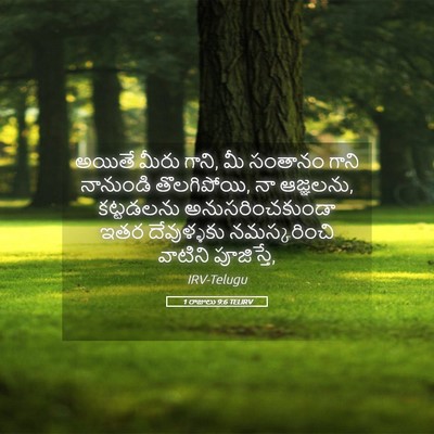 Picture 05 - 1 రాజులు 9:6 TELIRV - అయితే మీరు గాని, మీ - Bible Verse Picture