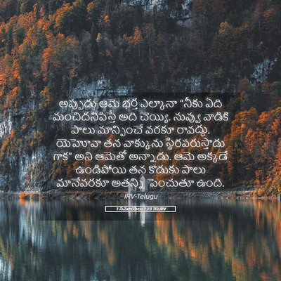 Picture 05 - 1 సమూయేలు 1:23 TELIRV - అప్పుడు ఆమె భర్త - Bible Verse Picture