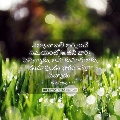 Picture 05 - 1 సమూయేలు 1:4 TELIRV - ఎల్కానా బలి - Bible Verse Picture