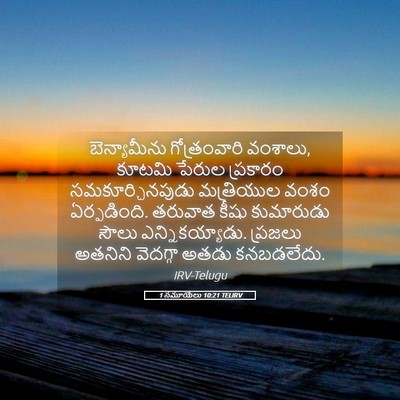 Picture 05 - 1 సమూయేలు 10:21 TELIRV - బెన్యామీను - Bible Verse Picture