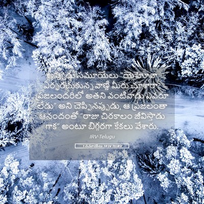 Picture 05 - 1 సమూయేలు 10:24 TELIRV - అప్పుడు సమూయేలు - Bible Verse Picture