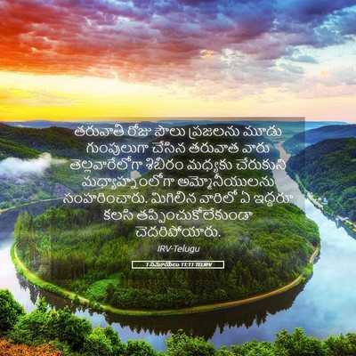 Picture 05 - 1 సమూయేలు 11:11 TELIRV - తరువాతి రోజు సౌలు - Bible Verse Picture