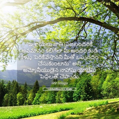Picture 05 - 1 సమూయేలు 11:2 TELIRV - “ఇశ్రాయేలు జాతి - Bible Verse Picture