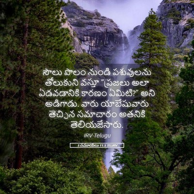 Picture 05 - 1 సమూయేలు 11:5 TELIRV - సౌలు పొలం నుండి - Bible Verse Picture