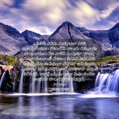 Picture 05 - 1 సమూయేలు 11:7 TELIRV - ఒక కాడి ఎడ్లను - Bible Verse Picture