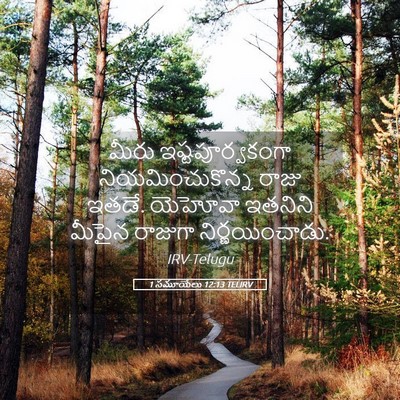 Picture 05 - 1 సమూయేలు 12:13 TELIRV - మీరు - Bible Verse Picture