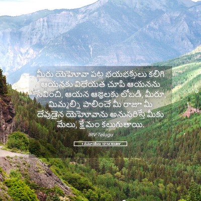 Picture 05 - 1 సమూయేలు 12:14 TELIRV - మీరు యెహోవా పట్ల - Bible Verse Picture